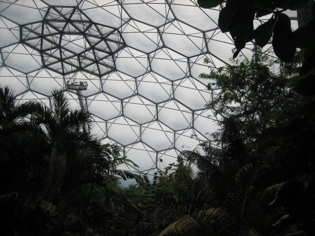 Inside the rainforest biome (&copy;Ian O'Neill)
