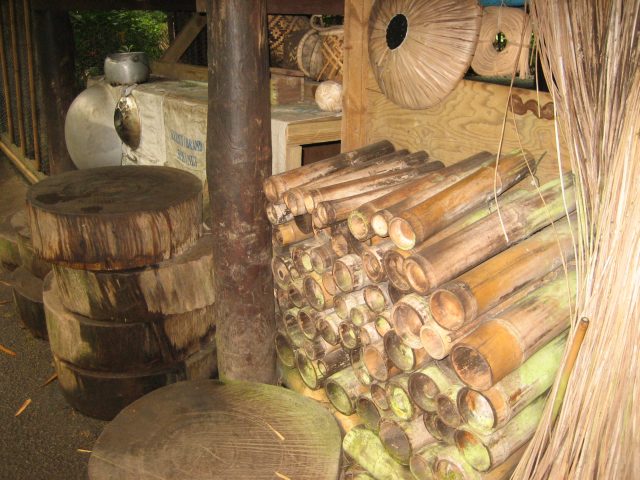 Bamboo is a versatile material on Earth and Mars (&copy;Ian O'Neill)