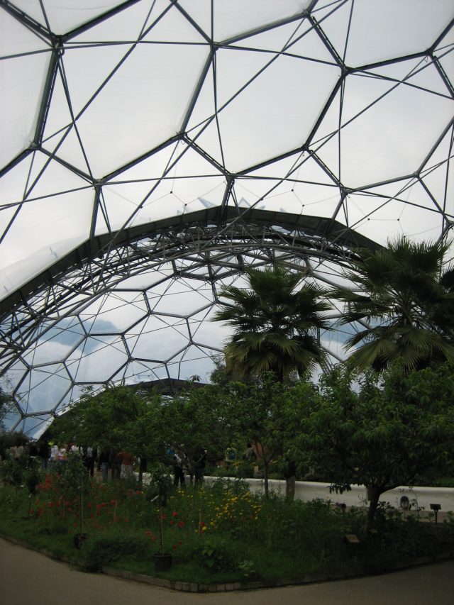 Inside the temperate biome (&copy;Ian O'Neill)