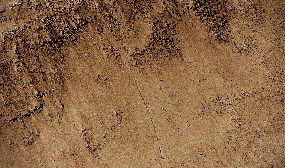 Detail of boulder tracks down slope (NASA/HiRISE/Stuart Atkinson)